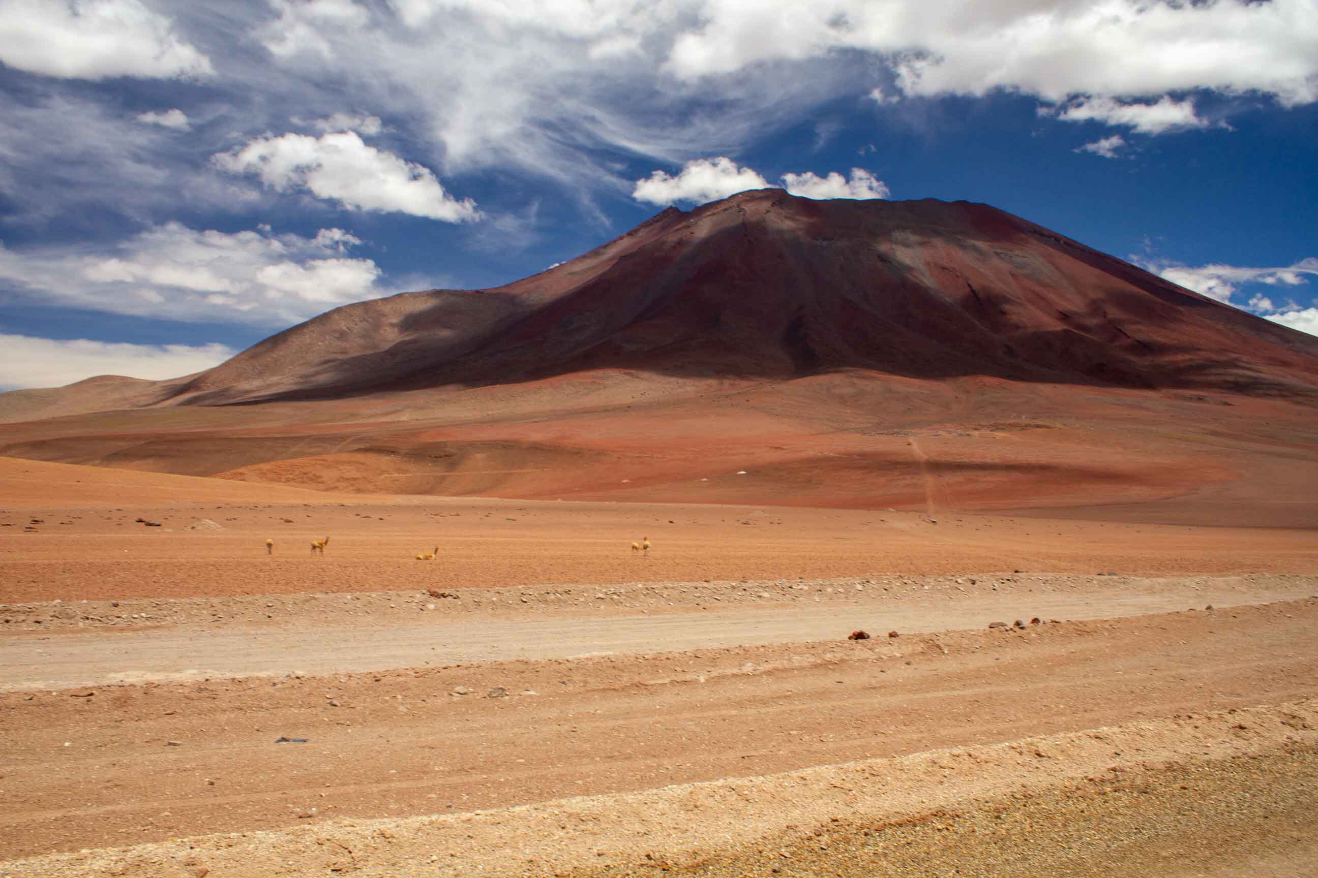 Values Alignment Intelligence